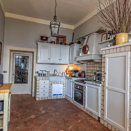 فيلة Belvedere *